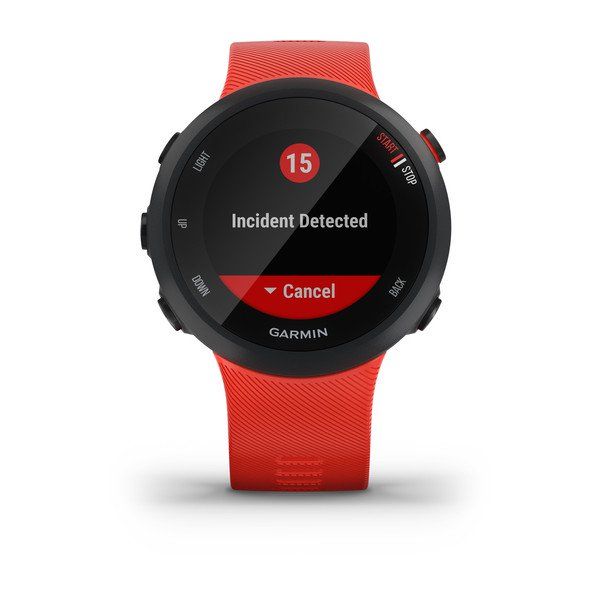 Спортивные часы Garmin Forerunner 45 GPS Large EU Lava Red (010-02156-16)