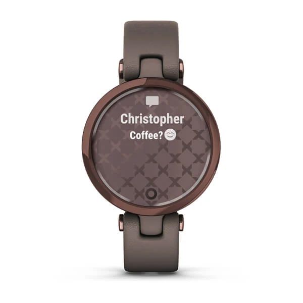 Cмарт-часы Garmin Lily EMEA DarkBronze Paloma Leather