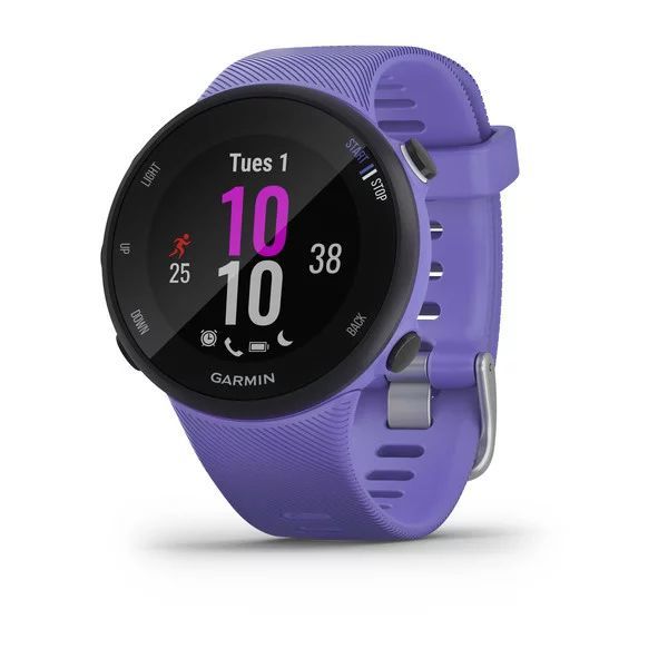 Спортивные часы Garmin Forerunner 45S Ирис