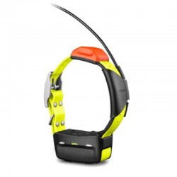 Ошейник Garmin T5 Russia