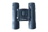 Бинокль Discovery Basics BB 10x25