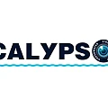 Подводные видеокамеры Calypso